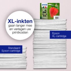 Epson Strawberry Singlepack Magenta 29 Claria Home Ink - Afbeelding 4