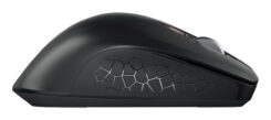 CHERRY JW-8550-2 muis Universeel Rechtshandig RF Draadloos Optisch 4000 DPI - Afbeelding 6