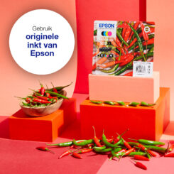 Epson Multipack 4-colours 503 Ink - Afbeelding 3
