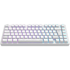 Dark Project ALU81A Terra Nostra White ISO