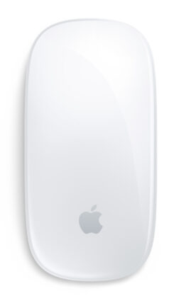 APPLE MAGIC MOUSE WH-INT