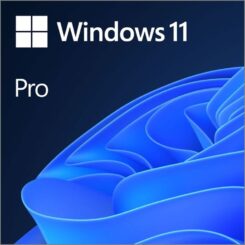 Win 11 Pro 64Bit Dutch 1pk DSP OEI DVD