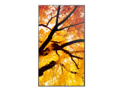 Sharp MultiSync M432 Digitale signage flatscreen 108 cm (42.5") LCD 550 cd/m² 4K Ultra HD Zwart - Afbeelding 4