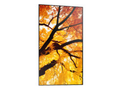 Sharp MultiSync M432 Digitale signage flatscreen 108 cm (42.5") LCD 550 cd/m² 4K Ultra HD Zwart - Afbeelding 5