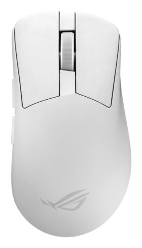 Muizen