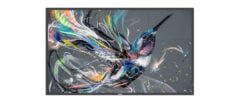 Philips Signage Solutions Q-Line Digitale signage flatscreen 139,7 cm (55") IPS 400 cd/m² 4K Ultra HD Zwart