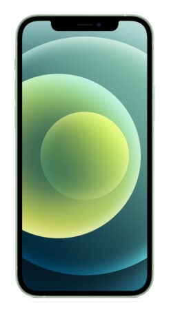 Forza Refurbished Apple iPhone 12 5G 256GB Refurbished als nieuw Green