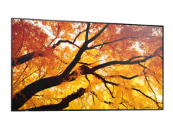 Sharp MultiSync M432 Digitale signage flatscreen 108 cm (42.5") LCD 550 cd/m² 4K Ultra HD Zwart - Afbeelding 3