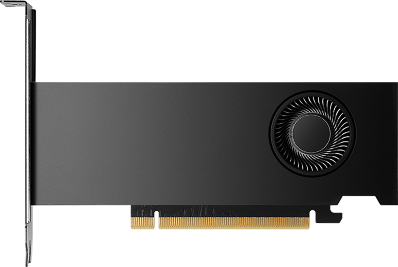 PNY NVIDIA RTX 2000 Ada Generation 16 GB GDDR6
