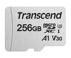 256GB microSD w/ adapter UHS-I U3 A1